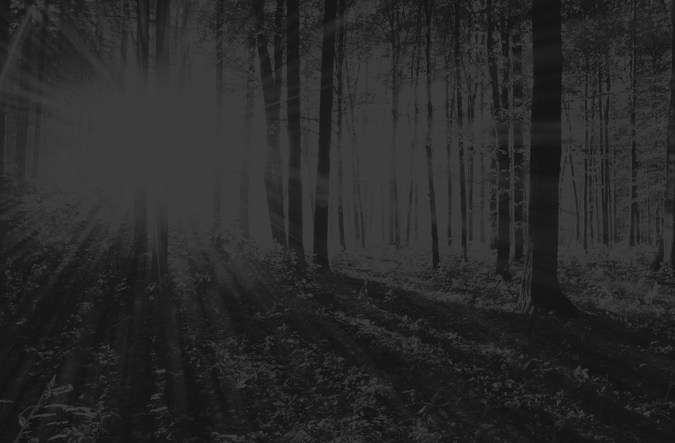 Unternehmen Zimmerei Reger